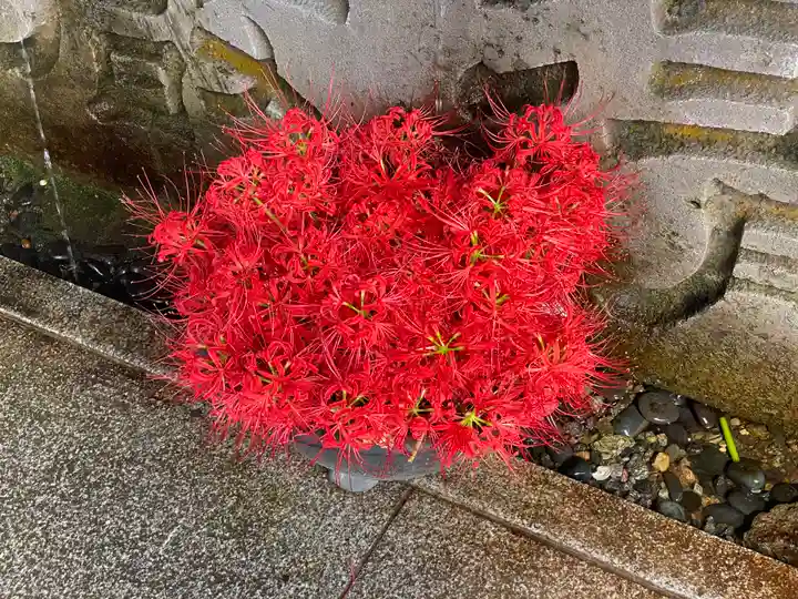 櫻山八幡宮(岐阜県)