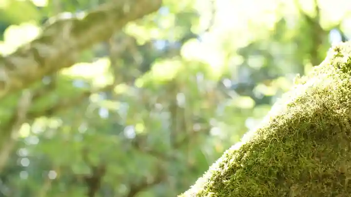 詩仙堂(丈山寺)(京都府)
