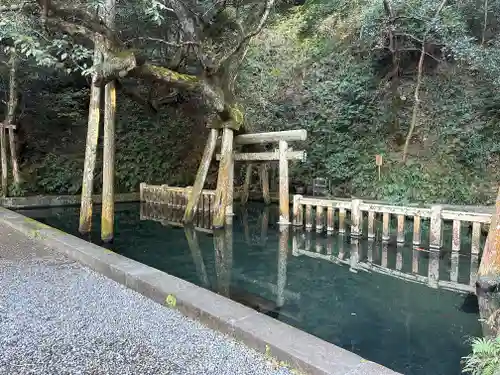 鹿島神宮(茨城県)