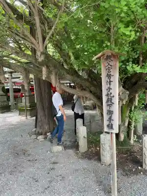 秩父神社(埼玉県)