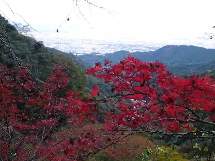 大山阿夫利神社の自然
