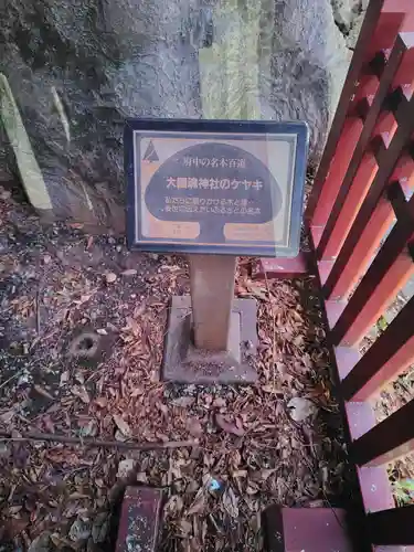 大國魂神社(東京都)