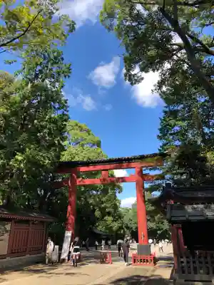 武蔵一宮氷川神社の鳥居