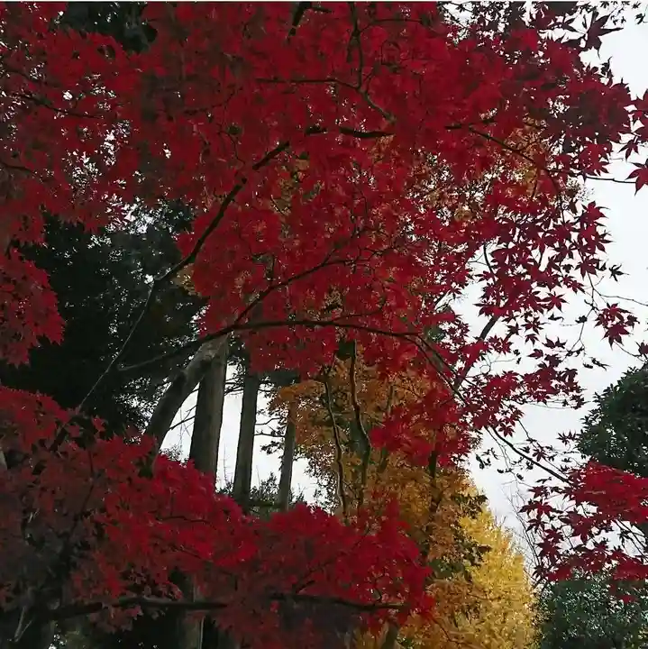 鑁阿寺(栃木県)