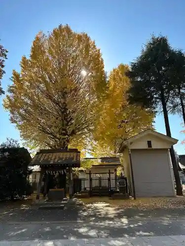小野神社(東京都)