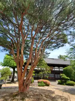 長楽寺(福島県)