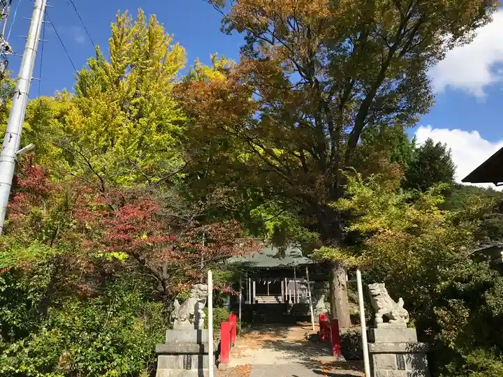 温泉神社~磐梯熱海温泉~の狛犬