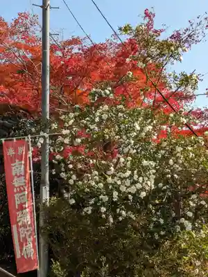 石内のお大師さん　金剛院(広島県)