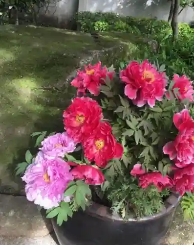 上野東照宮の自然