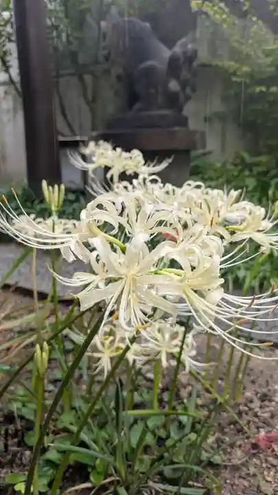 全興寺(大阪府)