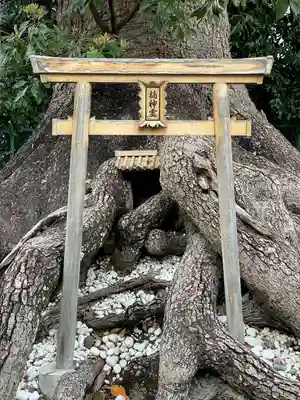 和泉國一之宮　大鳥大社(大阪府)