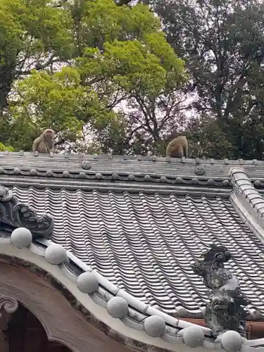 尾鷲神社(三重県)