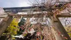 大石神社(京都府)