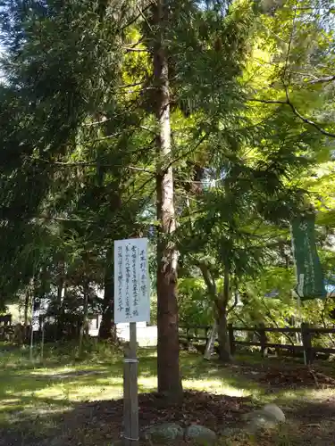 雲八幡宮の自然
