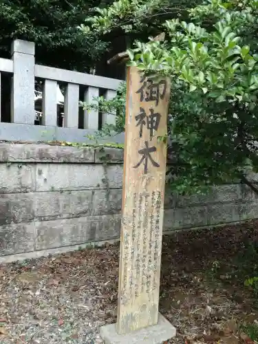 安房神社の歴史