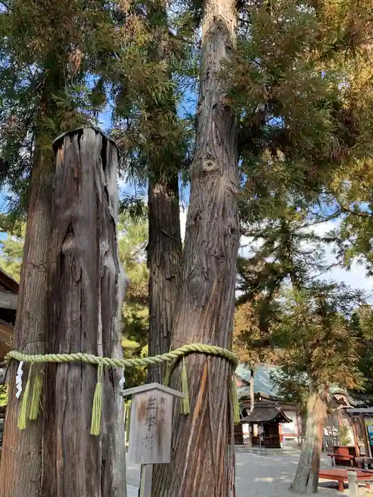 建部大社の自然