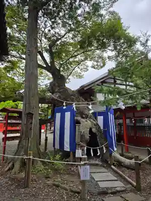 生島足島神社(長野県)
