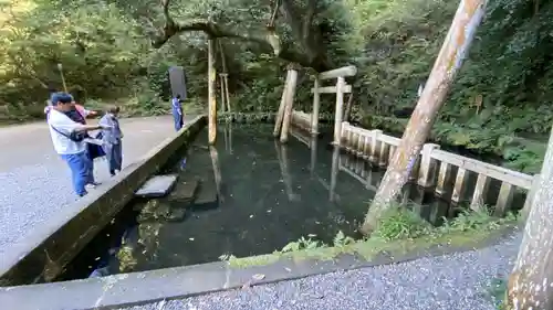 鹿島神宮(茨城県)