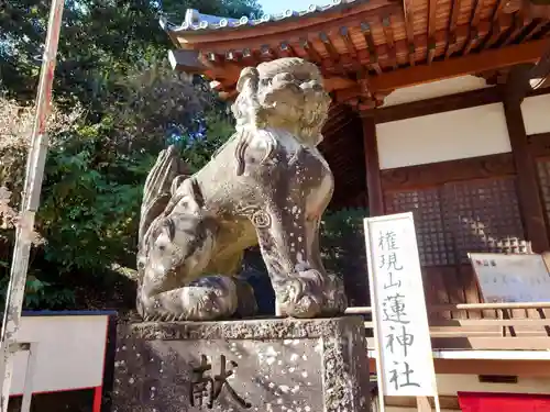 蓮神社(群馬県)