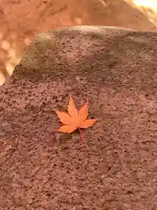 滑川神社 - 仕事と子どもの守り神(福島県)(2025年11月15日(土) 12時30分57秒投稿)
