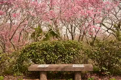 理正院(愛媛県)