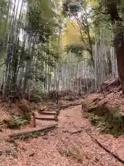 自玉手祭来酒解神社(京都府)