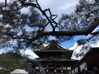 善光寺の本殿・本堂