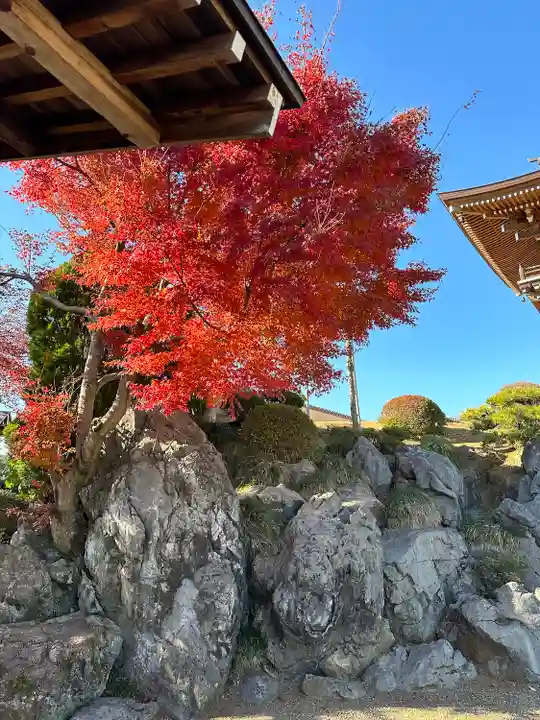 聖天院(埼玉県)