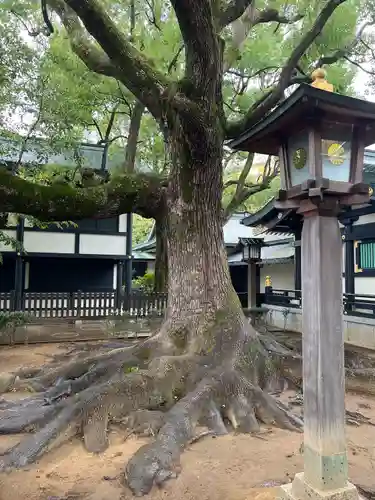 穴八幡宮(東京都)