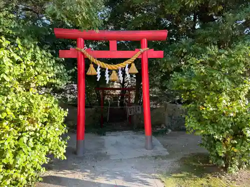 糟目犬頭神社の鳥居