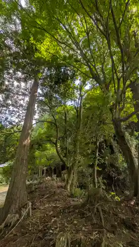正法寺(滋賀県)