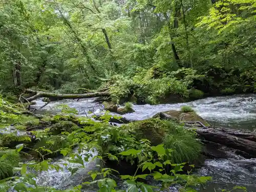 善知鳥神社(青森県)