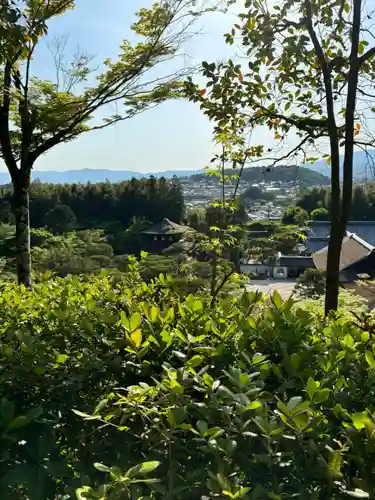 慈照寺（慈照禅寺・銀閣寺）(京都府)