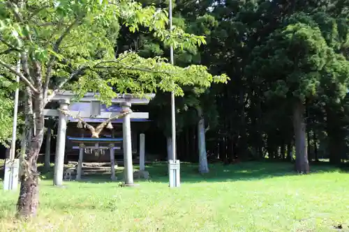 田子神社の鳥居