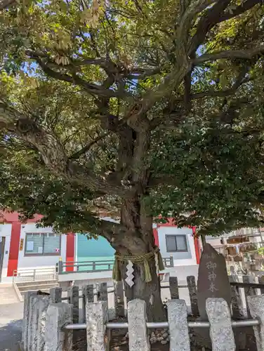 多摩川諏訪神社(東京都)