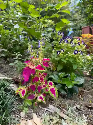 神炊館神社 ⁂奥州須賀川総鎮守⁂(福島県)