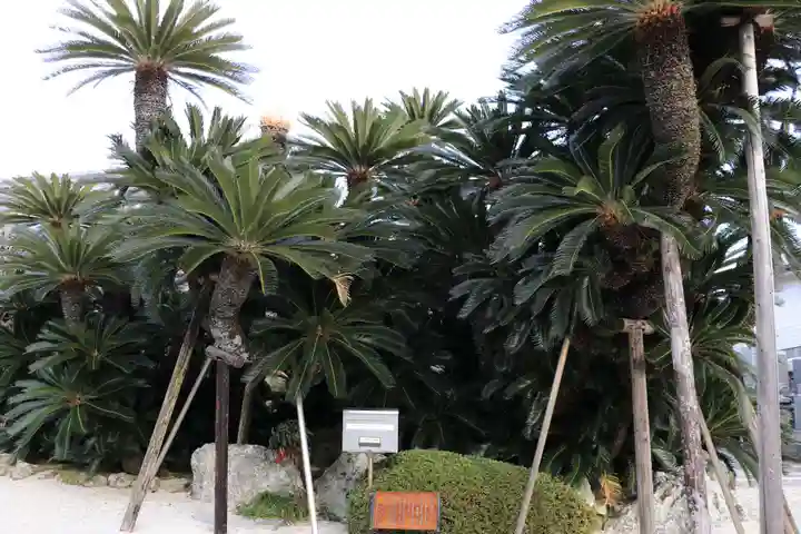 梵潮寺(三重県)