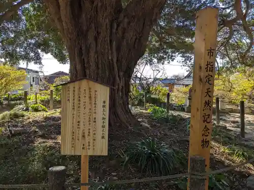 安養院　(田代寺）(神奈川県)