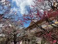 北野天満宮(京都府)