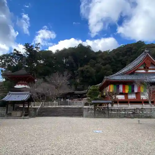 金剛寺(大阪府)