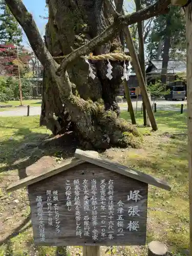 蠶養國神社(福島県)