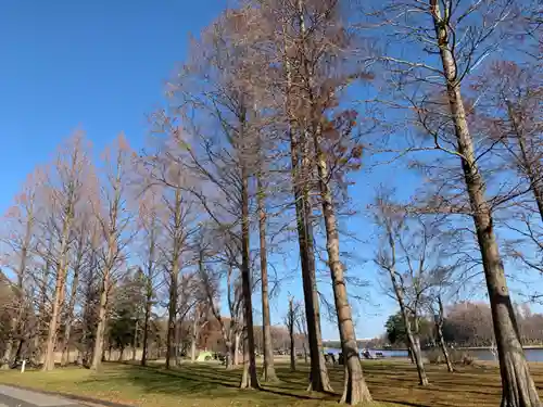 香取神社の自然