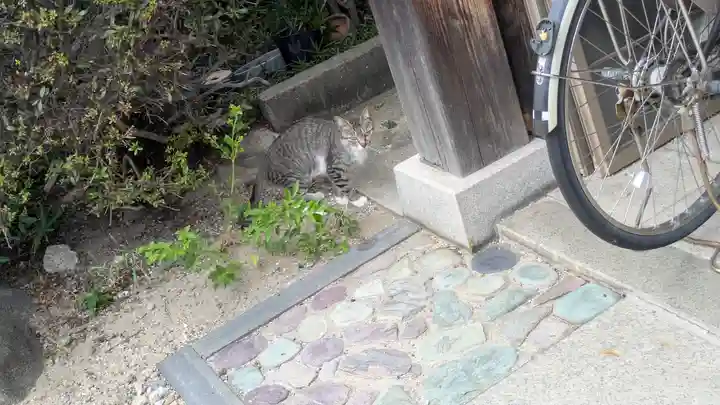 荘嚴浄土寺(大阪府)