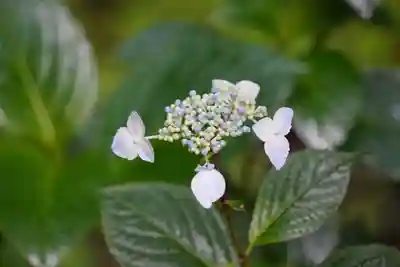尻岸内八幡神社(北海道)