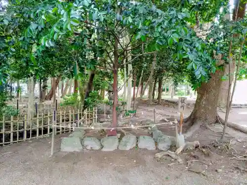 竹神社の自然
