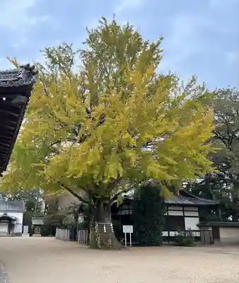 松原八幡神社(兵庫県)
