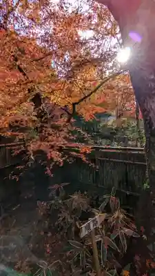 来迎院(京都府)