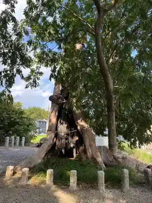 天御中主神社(千葉県)