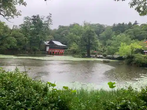 宇佐神宮の庭園