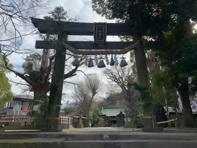 八坂神社(千葉県)